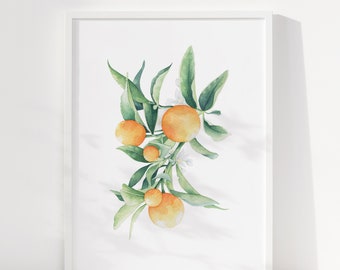 A4 Oranges print watercolour - fruit illustration painting - Giclée art print - watercolour oranges painting - tropical illustration print