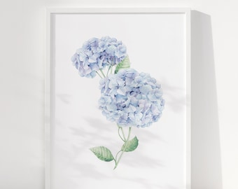Watercolor Hydrangea Floral Print - Botanical Illustration