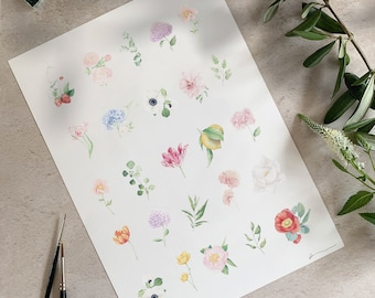 May include: A white sheet of paper with watercolor illustrations of various flowers, leaves, and fruits. The flowers include pink roses, white anemones, purple hydrangeas, and red poppies. The fruits include lemons and strawberries.