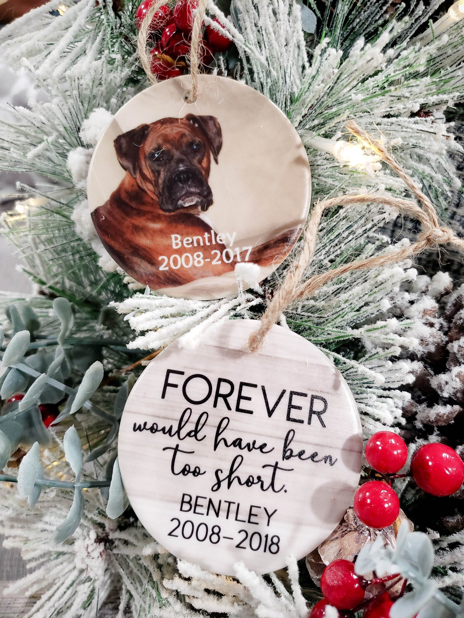 Pet Memorial Ceramic Photo Ornament | Pet Loss Gift | Rainbow Bridge ...