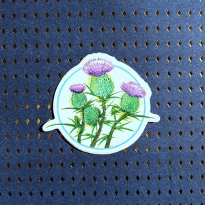 Scottish Purple Thistle Vinyl Sticker, Scotland Watercolor Floral Original Art Accessory, Large Water Bottle or Laptop Sticker, Waterproof!