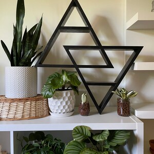 May include: A black geometric shelf with three tiers in the shape of overlapping triangles, holding various houseplants in white ceramic pots. The shelf is mounted on a white wall above a white shelf unit with more plants.