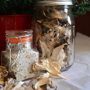 Foraged Hen of the Woods Mushroom Seasoning Salt: Roasted Garlic Herb Blend