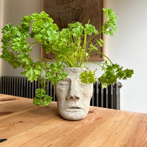 Man God Head Planter Pot | Stone Face Sculpture | Handmade Gift for Indoor and Outdoor Plants & Home Decor and Garden Decor