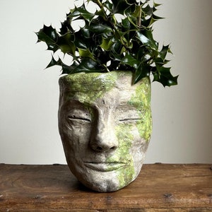 May include: A green leafy plant growing in a grey concrete planter shaped like a human face with closed eyes.