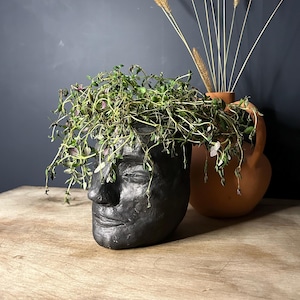 May include: A black ceramic planter shaped like a human face with a green plant growing out of the top. The planter is sitting on a wooden table next to a terracotta vase with dried grasses.