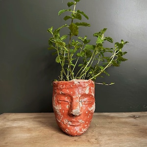 Indoor Lady Head Shaped Face Planter, Aged Terracotta Handmade Ornament with plastic free packaging