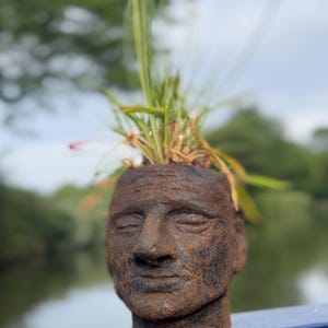 May include: A dark brown, weathered, cast-iron planter shaped like a human head with closed eyes and a neutral expression. Green grass and a single small red flower grow from the top of the head, which features a rough, textured surface.