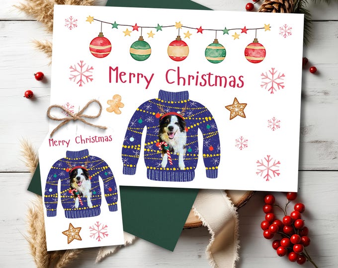 Custom Pet Photo Christmas Card: Festive Sweater Holiday Card
