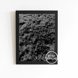 Minimal Abstract Wall Art Print Photography Snow Close up Decor Home Office Bedroom