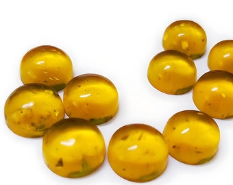 Pleasing Baltic Amber Round Shape Calibrated Gemstone 5mm To 30mm Flat Back Loose Gemstone