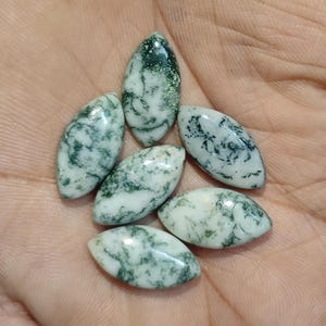 Può includere: Sei cabochon a forma di marquise in agata muschiata bianca e verde. Ogni pietra presenta una superficie liscia e lucida con distinte inclusioni dendritiche in motivi verde scuro su uno sfondo opaco bianco latte.