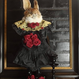 Real rabbit head doll