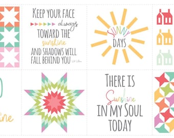 OOP Moda Sunnyside Up Corey Yoder Cheater Blocks Rainbow 24 Inch Cotton Panel Fabric 29050-11 PAN12