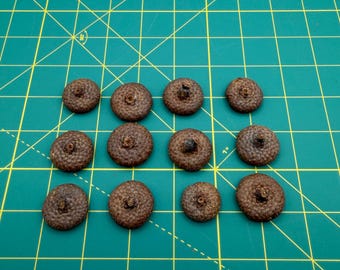 TTF Notions Dried PNW Oak Medium Acorn Tops for DIY Crafting Set of 12