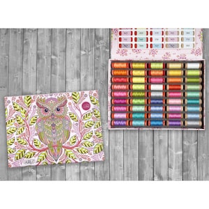 May include: A box of colorful embroidery floss with a floral patterned lid, next to a coloring book featuring a detailed owl illustration. The floss spools are arranged in rows, showcasing a spectrum of vibrant colors. The owl illustration is surrounded by leaves.