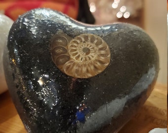 Bombas de baño negras de amonita y carta del tarot con premios Fossil Treasure