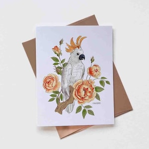 Carte de cacatoès et de roses de Zazzle.be Liste d'envies Vous avez des idées ? Modèle n°089 | Taille A2 | 4,25 x 5,25 pouces plié | Cadeau pour les amateurs d'oiseaux | Merci | Anniversaire | Carte de correspondance vierge