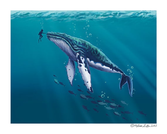 ザトウクジラのファインアートプリント | フレームなし | 海のテーマ
