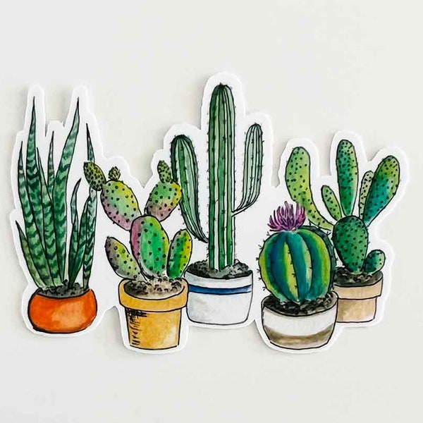 Cactus Sticker | 3" | Semi-Gloss | Water Resistant |  Succulent | Plant Lover Stickers | Laptop | Water Bottle Sticker