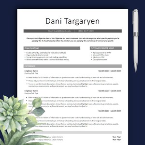 Clean Modern Resume Template, CV Template, Word, CV Design, Client Services, Entry Level Resume Template, Modern, Instant Download