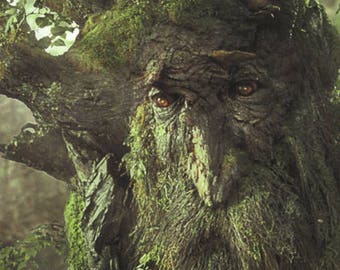 fangorn forest etsy