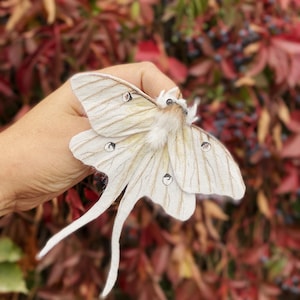 Handgjord Luna Moth-brosch – Nyckfull insektsnål i polymerlera