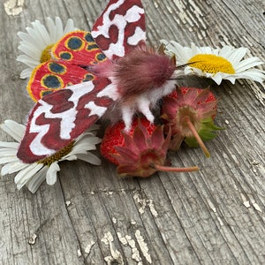 Handmade Red Moth Brooch with Beautiful Speckles - Nature-Inspired Jewelry, Garden Tiger Moth Design, Whimsical Fashion Accessory