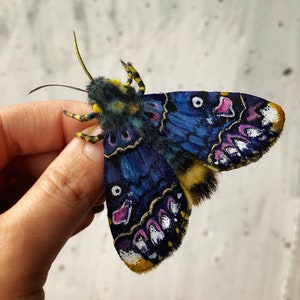 Vibrant Night Moth Brosch - Färgglad skönhet i blått, gult och svart