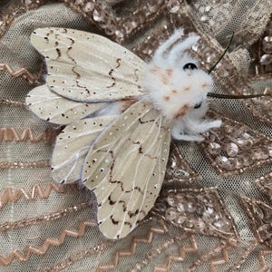 Può includere: Una falena decorativa con ali beige con motivi marroni e dettagli bianchi. La falena ha un corpo bianco soffice con occhi neri e delicate antenne. Le ali sono dettagliate con sottili venature. Adatto per artigianato e abbellimenti.