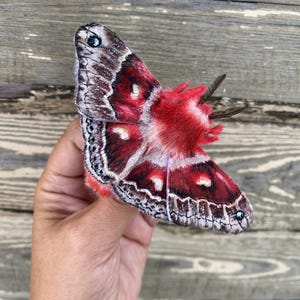 Broche feito à mão, broche de inseto, broche de mariposa, broche de mariposa, pelúcia de mariposa, borboleta noturna, joias em lenço, insetos feitos à mão, mariposa vermelha, presentes para você