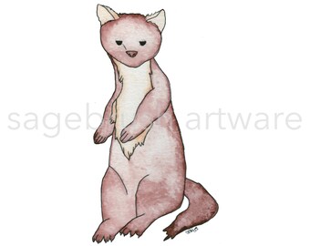 Pine Marten Print - Art Gift - Pacific Northwest Art -  Watercolor Print