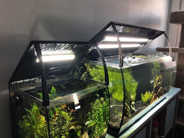 fluval flex accessories