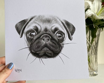 Pug Drawing Print