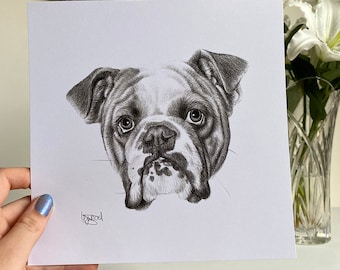 Bulldog Drawing Print