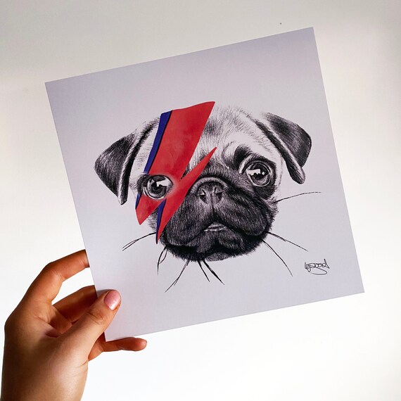 Ziggy Star Pug Drawing Print Etsy