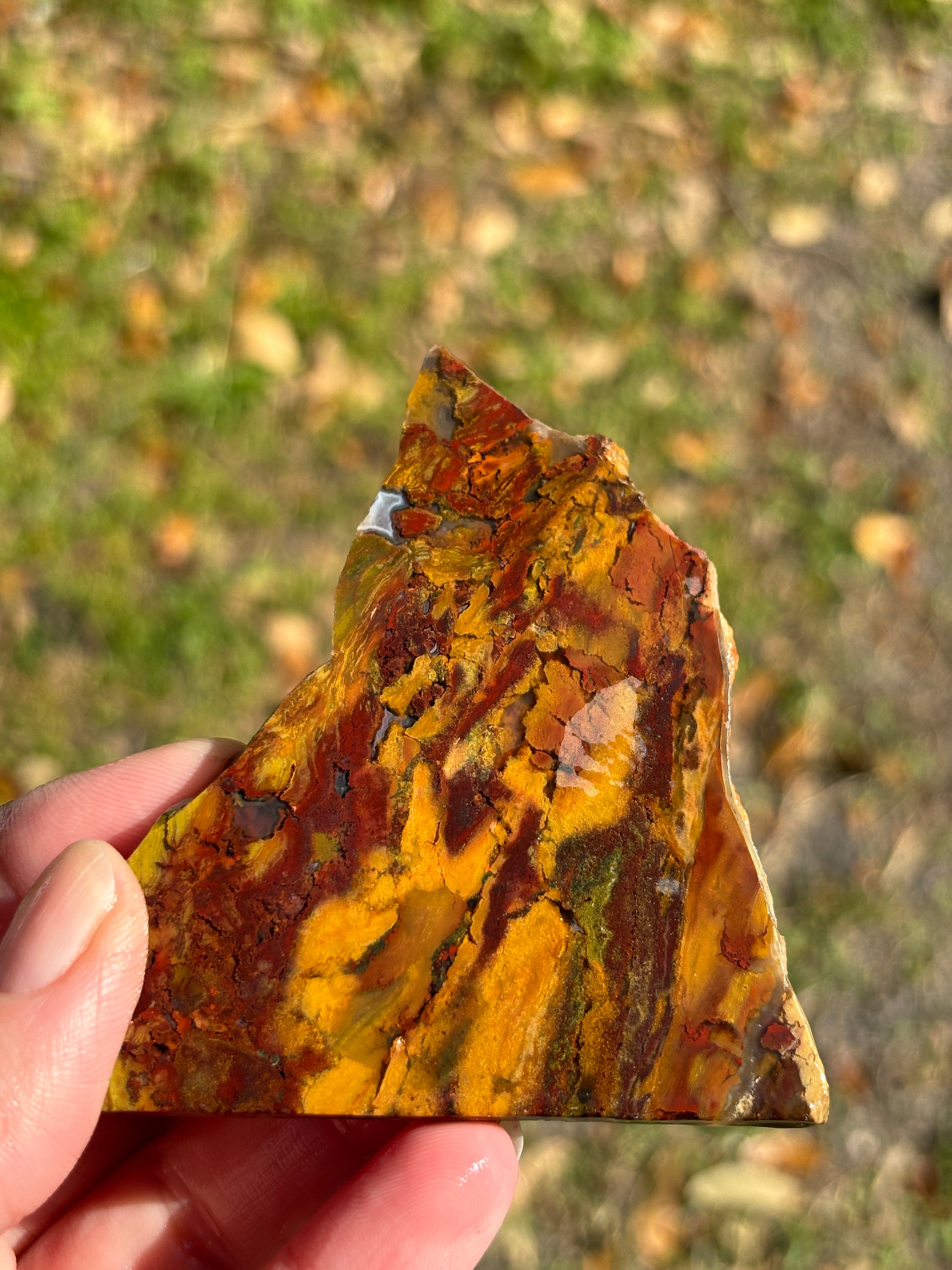 Jasper agate combo slab