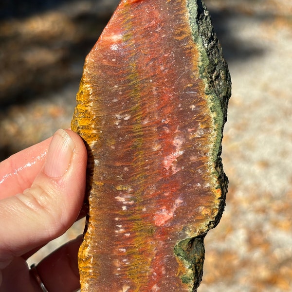 Fiery Red Plume Agate, very unique, great for lapidary