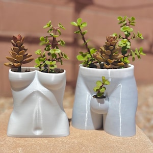May include: Two white ceramic planters, one shaped like a torso and the other like a pair of shorts, each holding small succulents. The torso planter has a female form, while the shorts planter has a male form. The succulents have green and brown foliage.