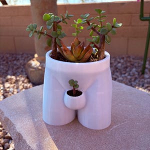 May include: A white ceramic planter shaped like a pair of legs, with a small pot attached. The planter holds several succulents with green and reddish-brown leaves. The planter is sitting on a stone surface.