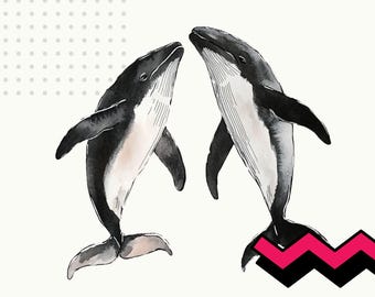 Whale couple png, watercolor whale clipart, valentines day couples png, cute whales clip art, whale partners, orca whales png