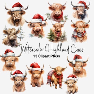 Watercolor Christmas Highland Cows Clipart Bundle, Baby Highland Cows PNG, Watercolor Highland Cows, Cow clipart, Christmas animal bundle