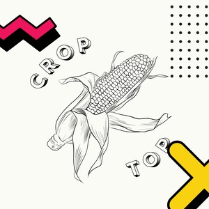 Può includere: Un'illustrazione in bianco e nero di una pannocchia di mais con le parole "CROP TOP" in un font in stile 3D.