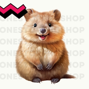 Quokka clipart, watercolor quokka clip art, quokka png, cute quokka clipart, baby quokka, australia clipart, aussie png,