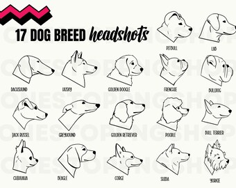 Dog Breeds PNG, Dog Outlines png, Dog breed clipart, Dog silhouettes, Golden Doodle png, Husky svg, Shiba png, jack russel png, lab png