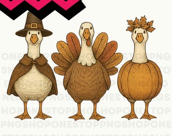 Thanksgiving Goose PNG, Cute Pilgrim Goose Clipart, Turkey Goose PNG, Pumpkin Fall Design, Autumn Holiday Graphic, Thanksgiving Shirt PNG,