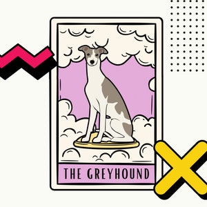 Greyhound Tarot Card Png, Greyhound SVG, Greyhound cane png, Levriero carino, Greyhound clip art, Cane tarocchi carta, tarocchi png, cane carino png