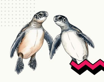 Sea turtles couple png, watercolor turtles clipart, valentines day couples png, cute turtle clip art, baby turtles partners, sea turtle