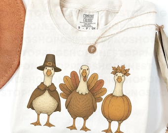 Thanksgiving Goose PNG, Cute Pilgrim Goose Clipart, Turkey Goose PNG, Pumpkin Fall Design, Autumn Holiday Graphic, Thanksgiving Shirt PNG,