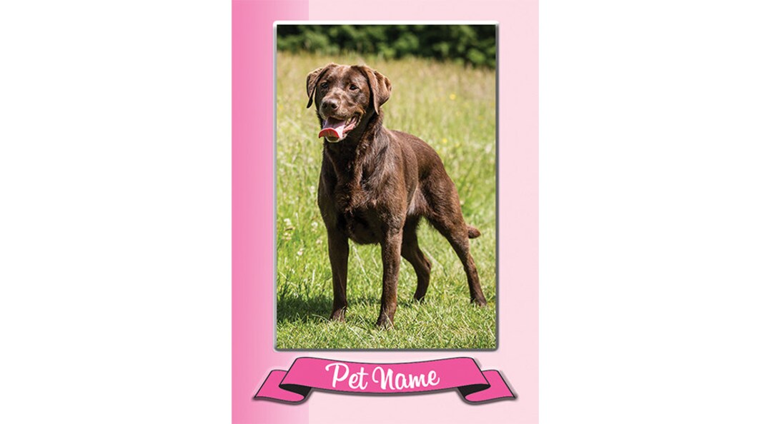 Custom Pet Trading Cards/ Therapy Pet Cards / Therapy Dog Etsy